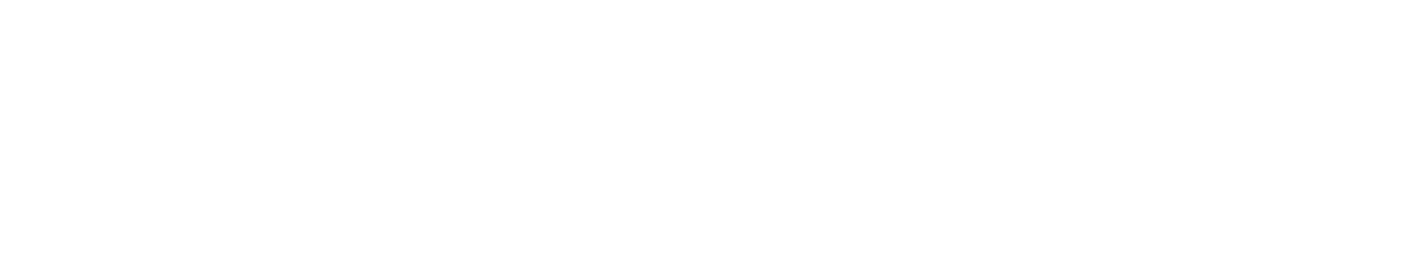 Lithium Battery Co Logo