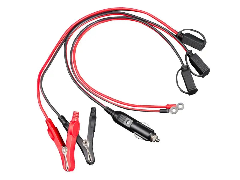 Automotive IP65 charger with jumper cables for lithium batteries